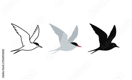 Artistic evolution of bird silhouette to detailed illustration in three stages