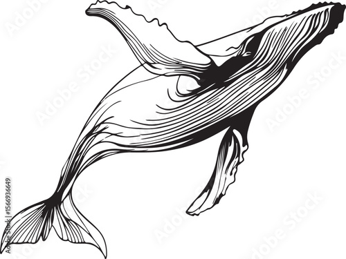  Elegant black-and-white continuous line art of a breaching whale, minimalist and abstract