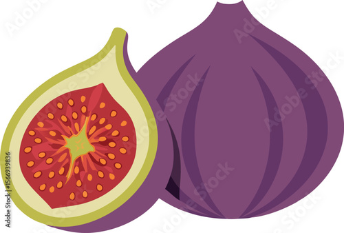 Colorful Fig Vector Design with Cut Section and Green Leaf
