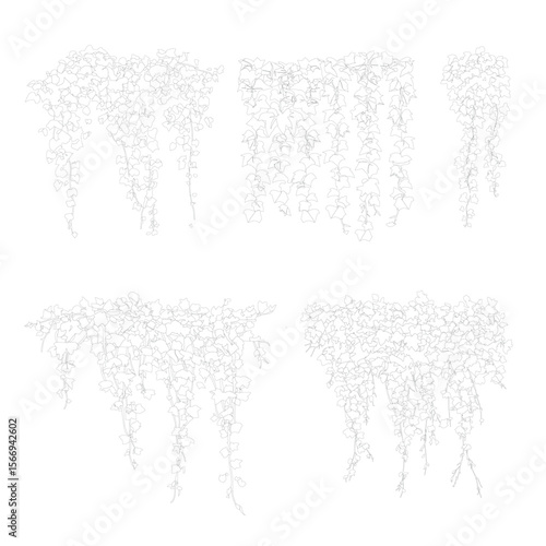Ivy, cad ivy, vector vegetation, bush