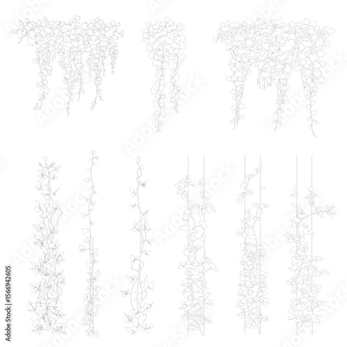 Ivy, cad ivy, vector vegetation, bush