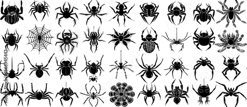 Collection of Black Spider Silhouettes; Arachnid Vector Graphics