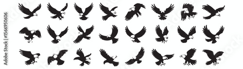 Eagle Vector Illustration Set, Black and White Silhouettes. Collection of 30 Different Eagle Poses, Perfect for Logos, Designs, and More.
