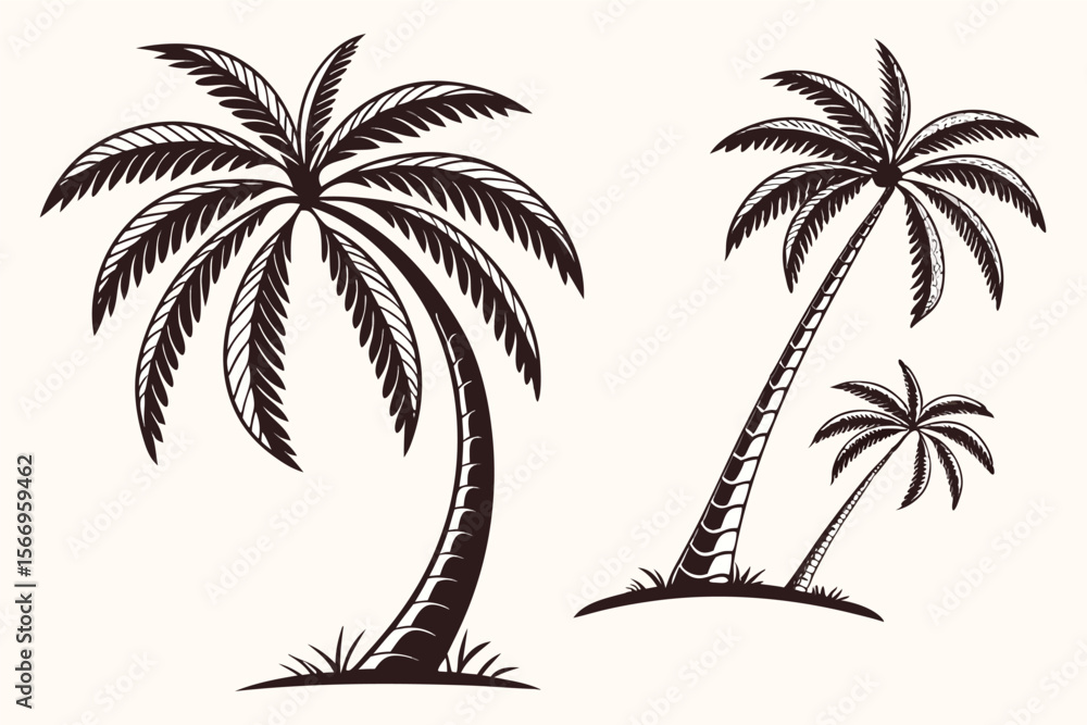 Fototapeta premium Vintage Line Art Palm Trees Collection for Tropical Design