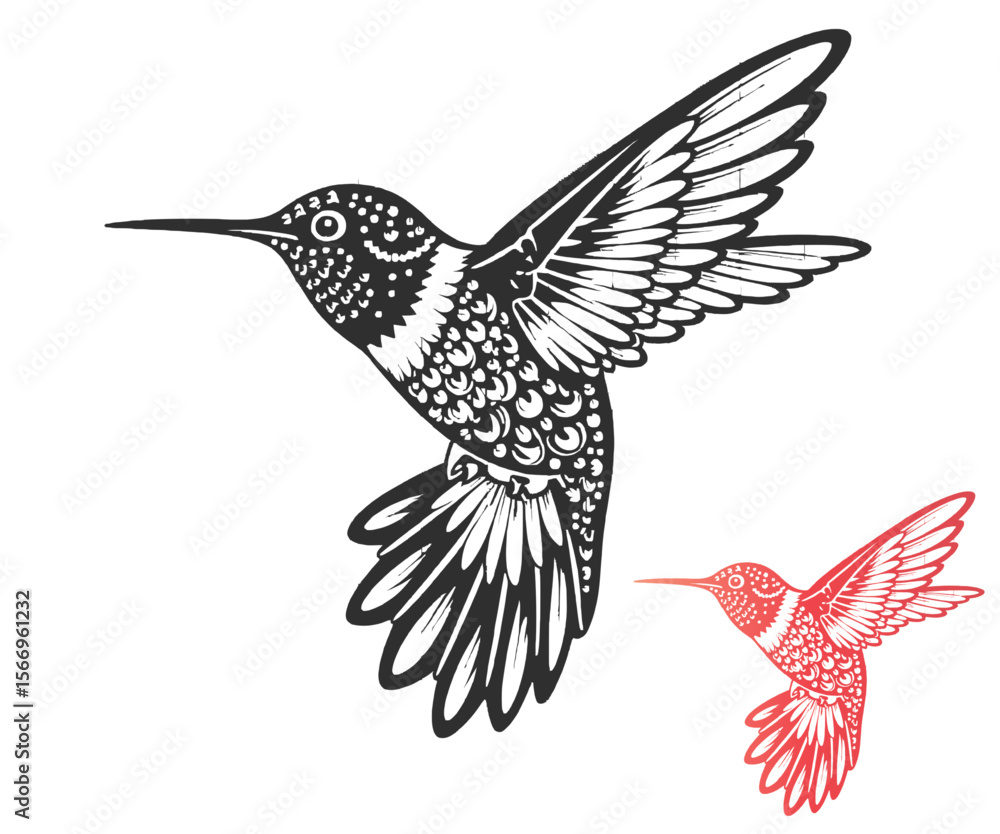 Obraz premium Hummingbird Illustration Black and White with Red Accent Wings Spread in Flight