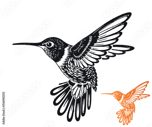 Hummingbird Illustration in Black and White with a Smaller Orange Version