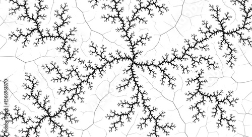 Complex Fractal Pattern in Mathematical Art Design
