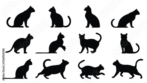 Twelve distinct black cat silhouettes stand, sit, crawl, and prowl against the white background