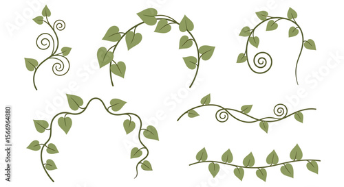 Plant vine design elements