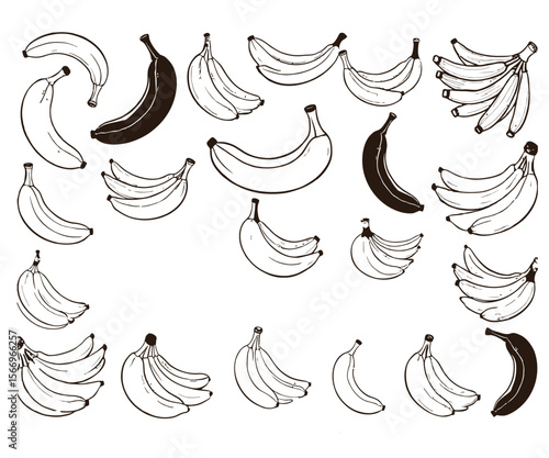 Collection of Banana Illustrations in Black and White Single and in Bunches
