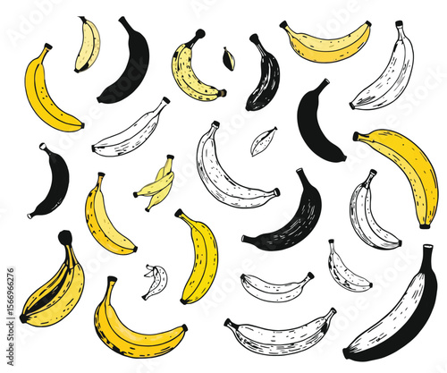 Banana Variety Yellow Black and Outline Illustrations on a White Background
