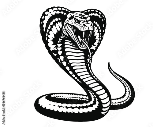 Striking Black and White Cobra Snake Illustration with Raised Hood and Fangs