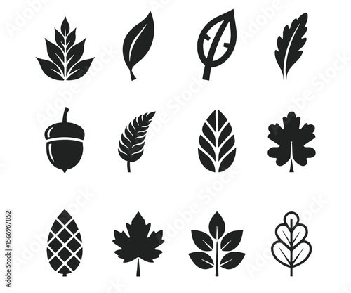 Collection of Black and White Leaf and Seed Silhouettes on White Background