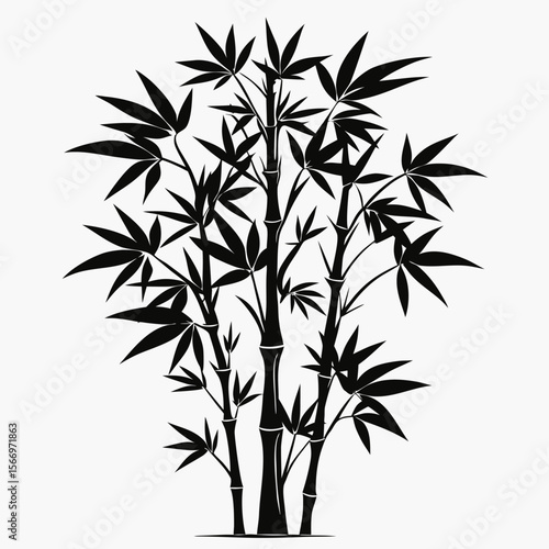 bamboo vector illustration