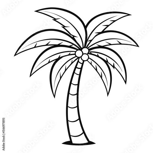 coconut tree outline art illustration