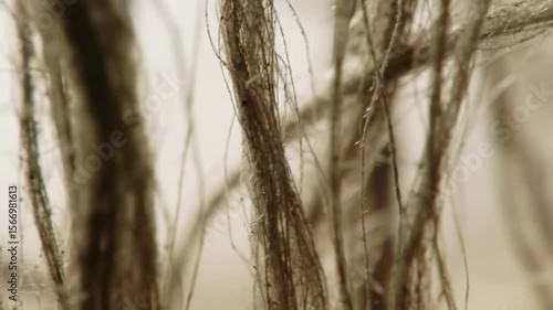 Closeup view of natural fibers detailed textures in beige and brown