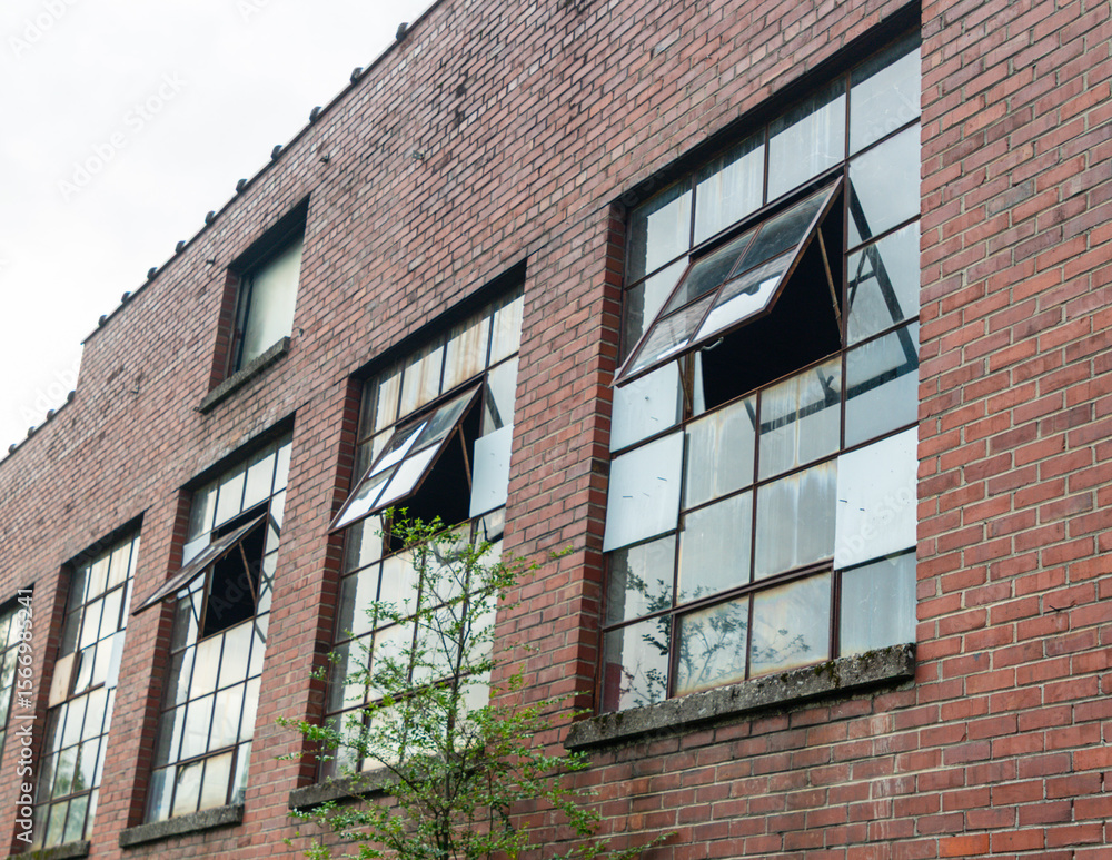 Fototapeta premium windows of an old building