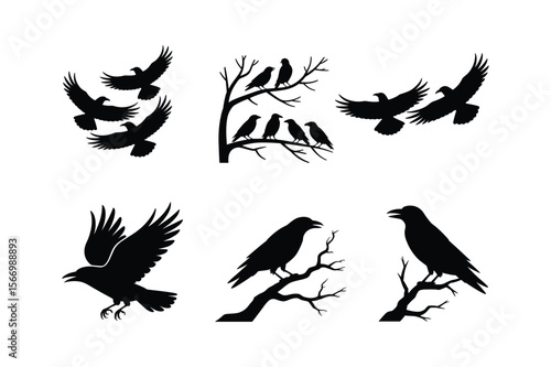 Black bird silhouettes flying and perched on bare branches birds crows