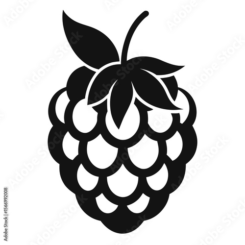 blackberry and raspberry