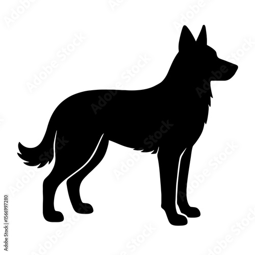 Design a black silhouette of a Alaskan Shepherd white background clean vector shape