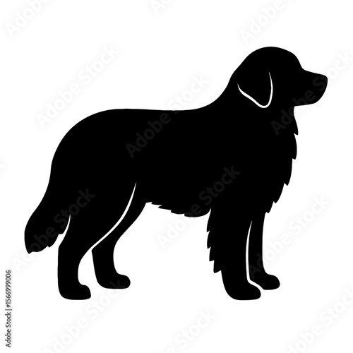 Design a black silhouette of a Bernese Mountain Dog white background clean vector shape