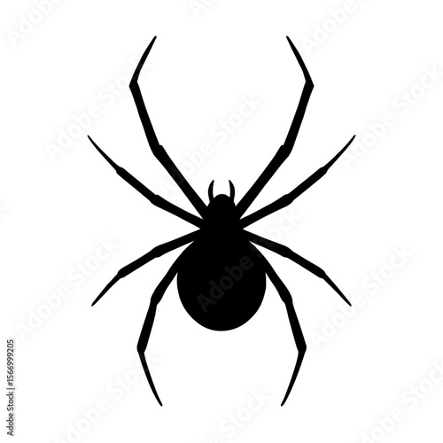 Design a black silhouette of a Black Widow Spider white background clean vector shape
