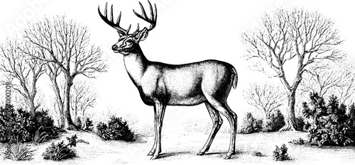 Vintage deer silhouette in snowy woodland clearing for nature design