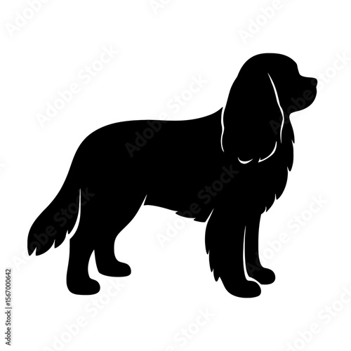 Design a black silhouette of a Cavalier King Charles Spaniel white background clean vector shape