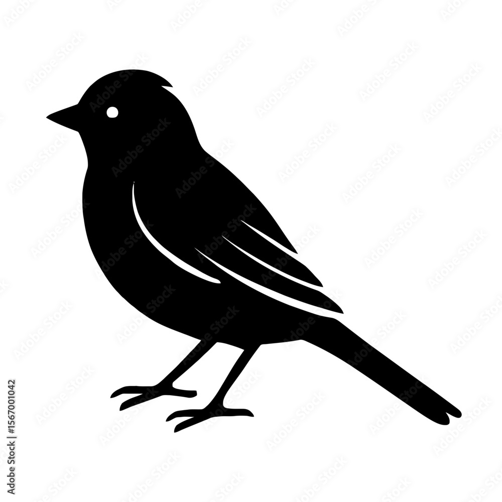 Obraz premium Design a black silhouette of a Chipping Sparrow white background clean vector shape