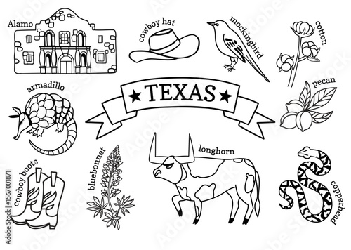Texas symbols. Vector linear illustration set for stickers, decoration, covers, wallpaper, posters