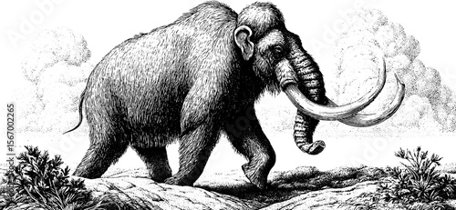 Mammoth wandering the tundra under a stormy ice age sky in vintage engraving style