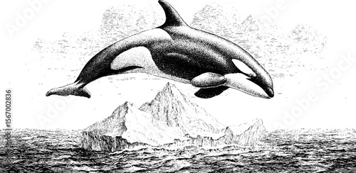 Orca breaching near iceberg under dark arctic clouds in vintage engraving style