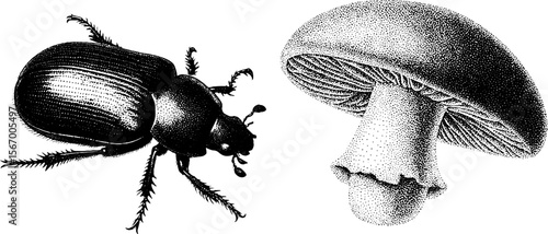Vintage dotwork beetle and mushroom with leaf vein pattern for retro design