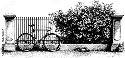 Vintage bicycle and iron fence with creeping ivy silhouette for retro design