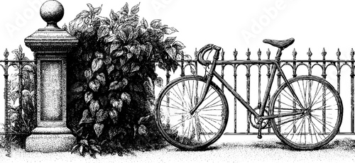 Vintage bicycle and iron fence with creeping ivy - hand drawn retro design for print