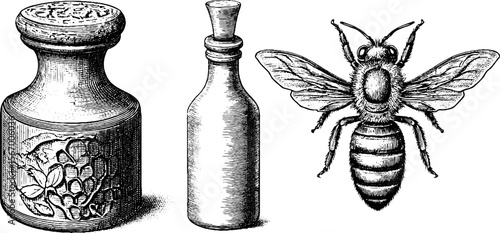 Vintage hand drawn bottle corks with honeycomb and bee designs for labels