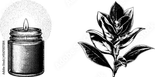 Vintage candle jar and eucalyptus sprig sketch for decorative design