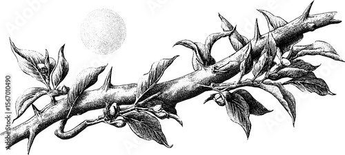 Vintage giraffe neck and thorn branch illustration with circular setting