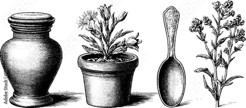 Vintage herbal apothecary elements: jars, dried flowers, and spoon illustration
