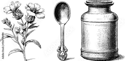 Vintage herbal jar with dried flowers and spoon sketch for retro design