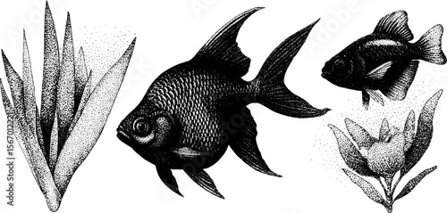 Vintage sketch of lantern fish, deep sea plants and bubbles - retro hand drawn engraving