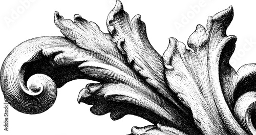 Ornate scrolls and volute spiral design for vintage engraving art