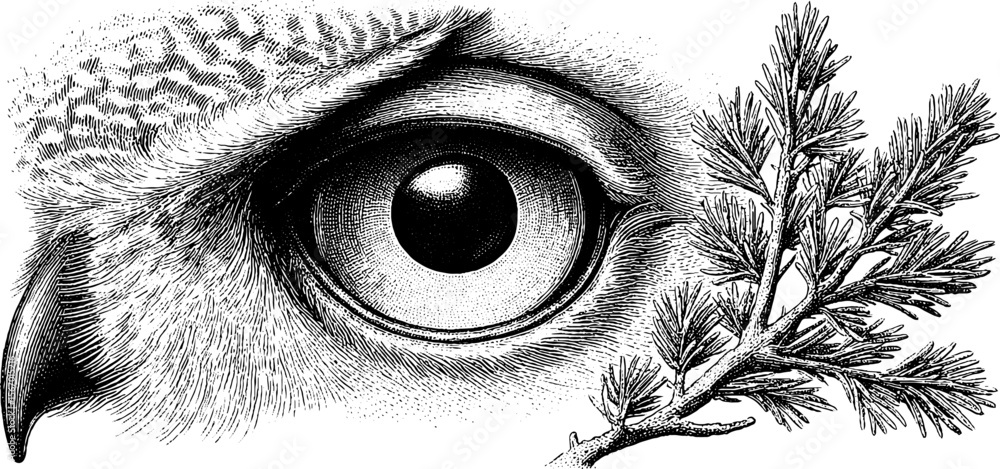 Obraz premium Vintage owl eye with forest branch and starlight dot engraving for nature design