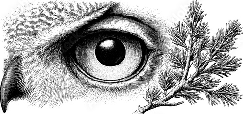Vintage owl eye with forest branch and starlight dot engraving for nature design