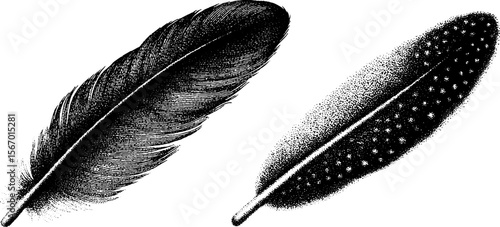 Vintage owl feather sketch with book spine and ink blot details for retro design