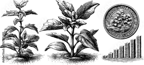Growth and investment: vintage plant sprouts, bar graph, and dollar coin illustration