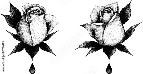 Vintage dotwork rose and thorn tattoo design with dew drops for artistic decoration