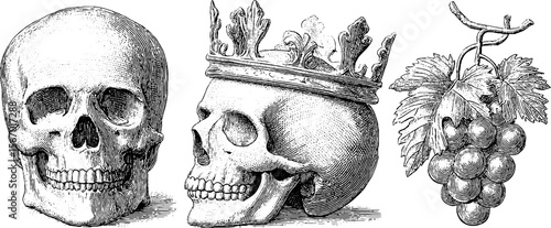 Intricate dotwork of skull, vine, and broken crown for tattoo design