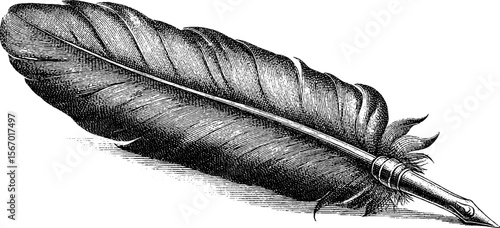 Vintage raven quill with spilled ink and claw - retro art design for print