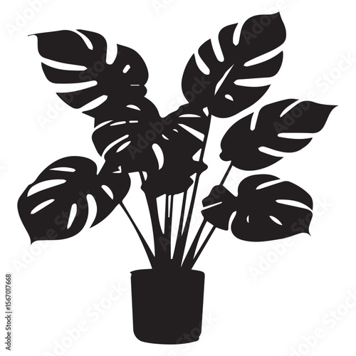 Monstera deliciosa plant silhouette in a pot on a white background